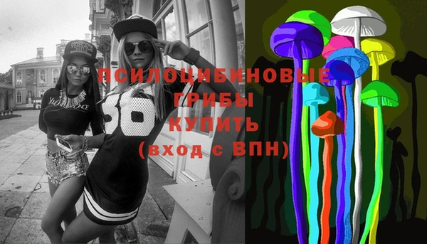 дживик Абаза