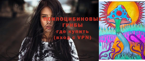 прущий лед Алзамай