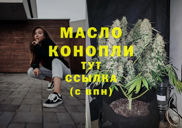 дживик Абаза