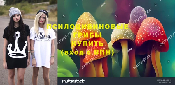 амф Абдулино