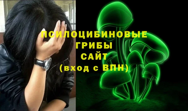 амф Абдулино